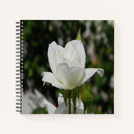 Dus puur... notitieboek (Voorkant)