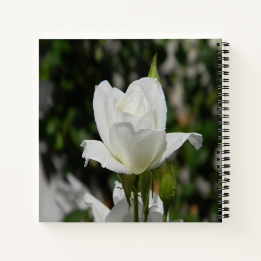 Dus puur... notitieboek (Achterkant)