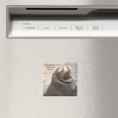 Dus Sweet Magnet! Magneet (Insitu (Vaatwasser))