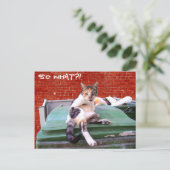 Dus wat briefkaart (Staand voorkant)