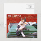 Dus wat briefkaart (Voorkant / Achterkant)