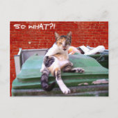 Dus wat briefkaart (Voorkant)