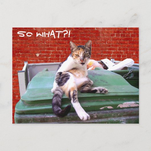 Dus wat briefkaart (Voorkant)