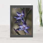 Dus "ZEER GEESTIG" MET "UW VERLIES" Kaart (Voorkant)