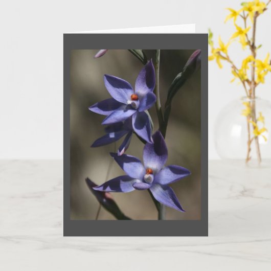 Dus "ZEER GEESTIG" MET "UW VERLIES" Kaart (Gele Bloem)