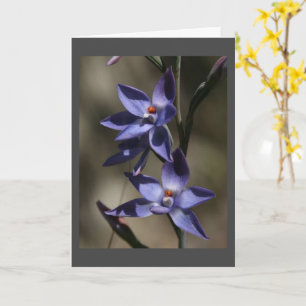 DUS ZEER SORRY VOOR "UW VERLIES" KAART