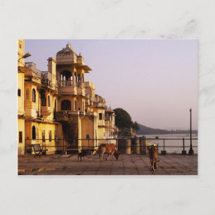 Dusk at Ganghaur Ghat, Udaipur, Rajasthan, India Briefkaart