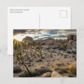 Dusk bij Joshua Tree NP-Briefkaart Briefkaart (Voorkant / Achterkant)