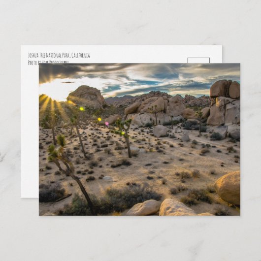 Dusk bij Joshua Tree NP-Briefkaart Briefkaart (Voorkant / Achterkant)