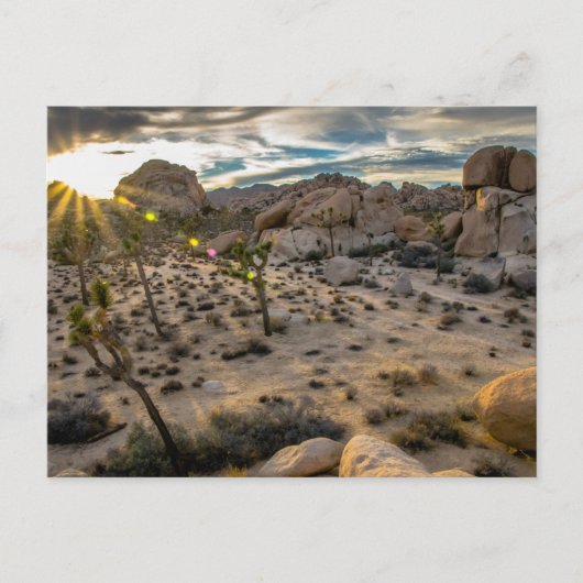 Dusk bij Joshua Tree NP-Briefkaart Briefkaart (Voorkant)