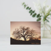Dusk in Hayfork, Californië... Briefkaart (Staand voorkant)
