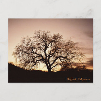Dusk in Hayfork, Californië... Briefkaart