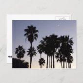 Dusk met Palm Trees Tropische Scene Briefkaart (Voorkant / Achterkant)
