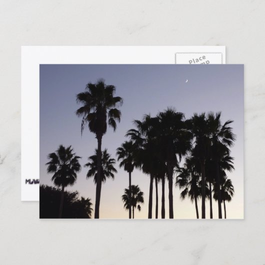 Dusk met Palm Trees Tropische Scene Briefkaart (Voorkant / Achterkant)