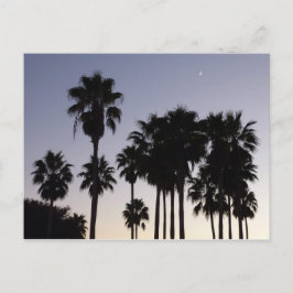 Dusk met Palm Trees Tropische Scene Briefkaart