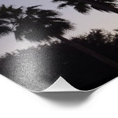 Dusk met Palm Trees Tropische Scene Foto Afdruk (Hoek)