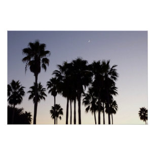 Dusk met Palm Trees Tropische Scene Perfect Poster