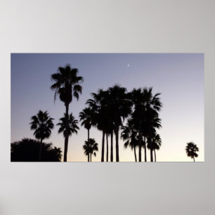 Dusk met Palm Trees Tropische Scene Poster