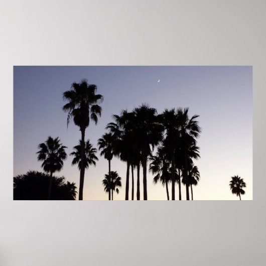 Dusk met Palm Trees Tropische Scene Poster (Voorkant)