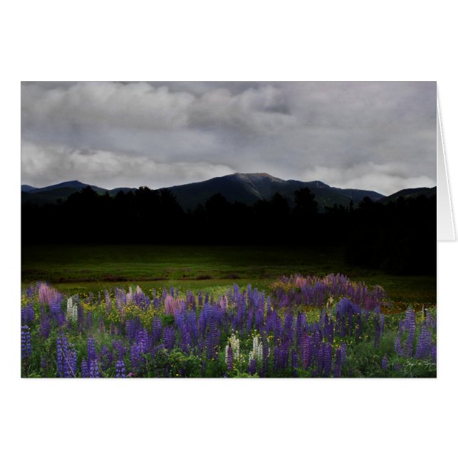 Dusk op de Franconia Range (Voorkant Horizontaal)