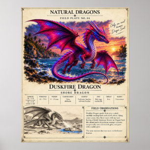 Duskfire Veldplaat Poster