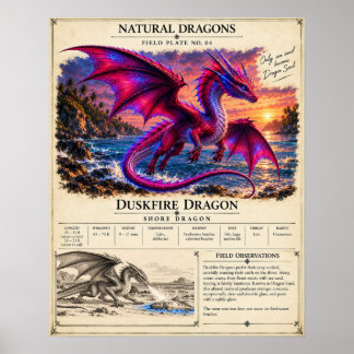 Duskfire Veldplaat Poster