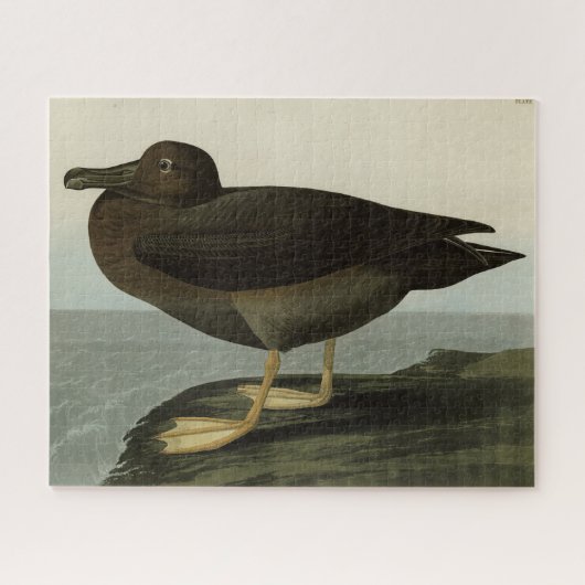 Dusky Albatross van Audubon's Birds of America Legpuzzel (Horizontaal)