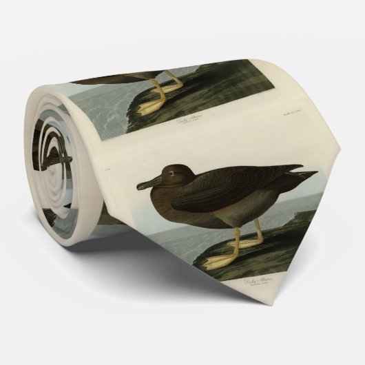 Dusky Albatross van Audubon's Birds of America Stropdas (Opgerold)