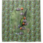 Dusky Conure Parrot Upside Down Bird  Douchegordijn (Voorkant)