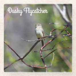 Dusky Flycatcher Glazen Onderzetter