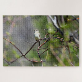 Dusky Flycatcher Legpuzzel