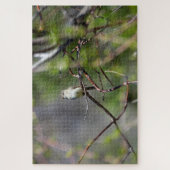 Dusky Flycatcher Legpuzzel (Verticaal)