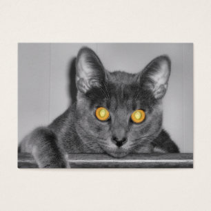 Dusky Gold Bladwijzer Visitekaartje