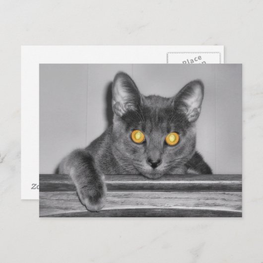 Dusky Gold Briefkaart (Voorkant / Achterkant)