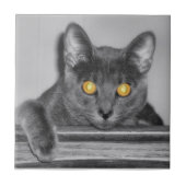 Dusky Gold Decorative Tile Tegeltje (Voorkant)