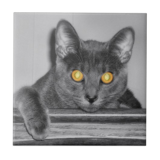 Dusky Gold Decorative Tile Tegeltje (Voorkant)