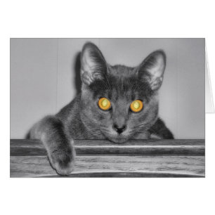 Dusky Gold-kaart