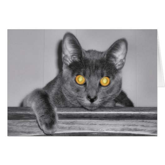 Dusky Gold-kaart (Voorkant Horizontaal)