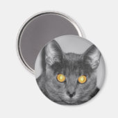 Dusky Gold Magnet (Voorkant / Achterkant)
