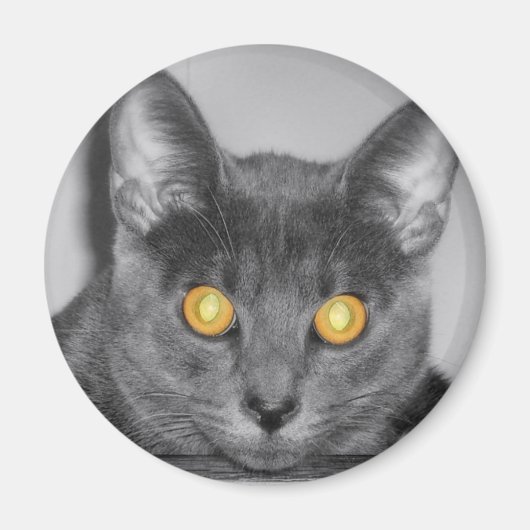 Dusky Gold Magnet (Voorkant)