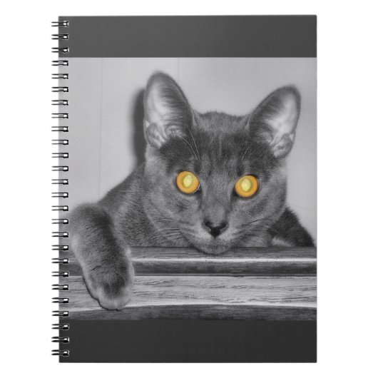 Dusky Gold Notitieboek (Voorkant)
