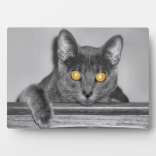 Dusky Gold Photo Plaque Fotoplaat