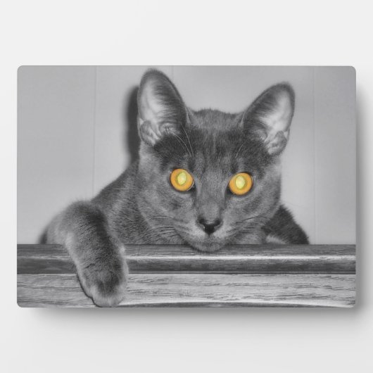Dusky Gold Photo Plaque Fotoplaat (voorkant)
