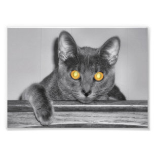 Dusky Gold Photo Print Foto Afdruk