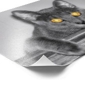 Dusky Gold Photo Print Foto Afdruk (Hoek)