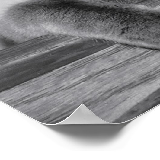 Dusky Gold Print (Hoek)