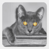 Dusky Gold Stickers (Voorkant)