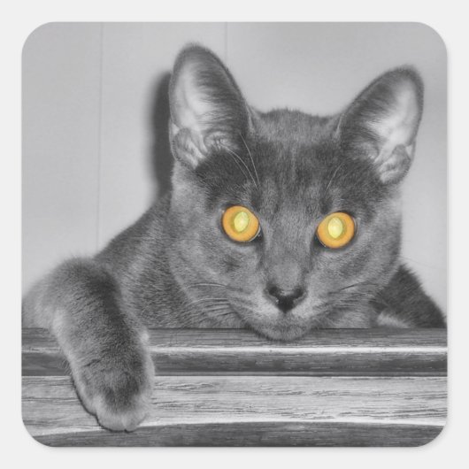 Dusky Gold Stickers (Voorkant)