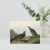Dusky Grous (Blue Grouse) Audubon Birds of America Briefkaart (Staand voorkant)