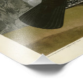 Dusky Grous (Blue Grouse) Audubon Birds of America Foto Afdruk (Hoek)